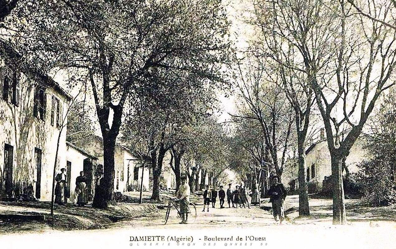 1285- Damiette - Medea - Boulevard de l'Ouest.jpg
